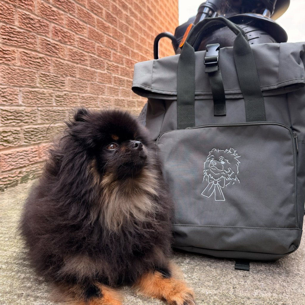 Pomeranian beside a backpack embroidered with his portrait