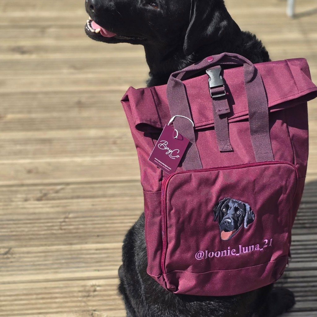 Black Labrador with a burgundy backpack embroidered with her portrait