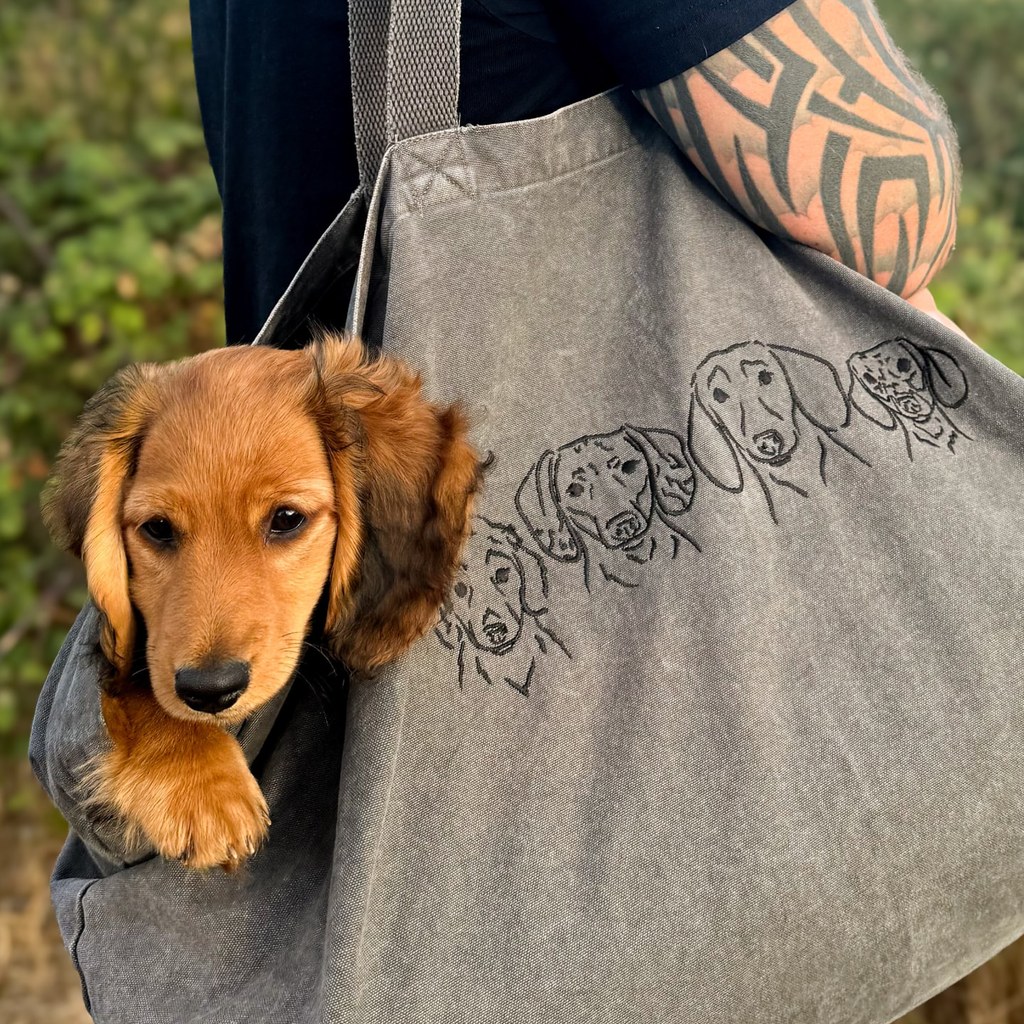 Dachshund puppy peeking from a tote bag embroidered with dog portraits